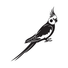 cockatiel Vector black silhouette. with white background
