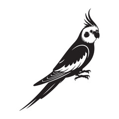 Obraz premium cockatiel Vector black silhouette. with white background
