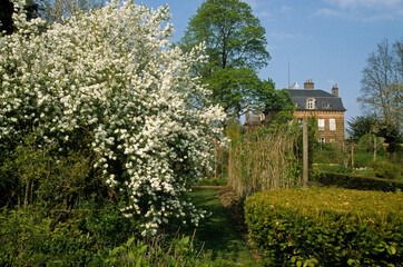 Aubepine, Jardin floral, Chateau de Digeon, 80, Somme, France