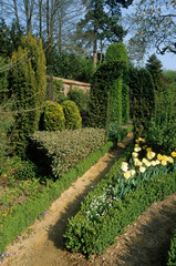 if, buis, jardin floral, Chateau de Digeon, 80, Somme, France