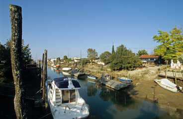 Huitre, Ostrea edulis, Port ostreicole, La Tremblade, 17, Charente Maritime, France