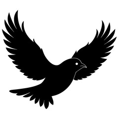 Obraz premium A black bird silhouette is shown flying with wings outstretched isolated on white background