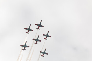 Eagle Patrol in formation