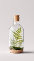 Simple glass bottle mockup with cork stopper containing fern and moss inside minimalist design
