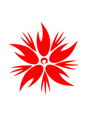 Ruby flower Essence is a char...