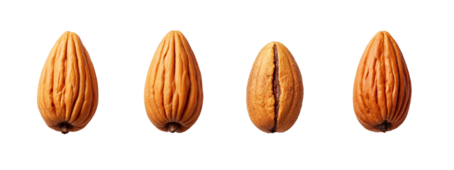 A set of four walnuts