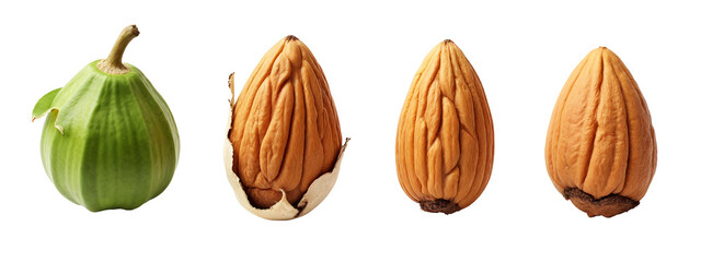 A close up of three different types of nuts