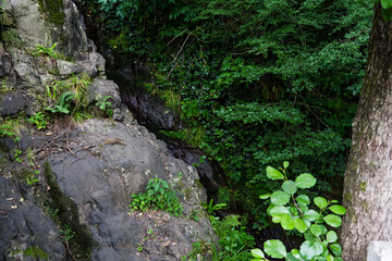 A crevice in the mountains in a forest in Georgia