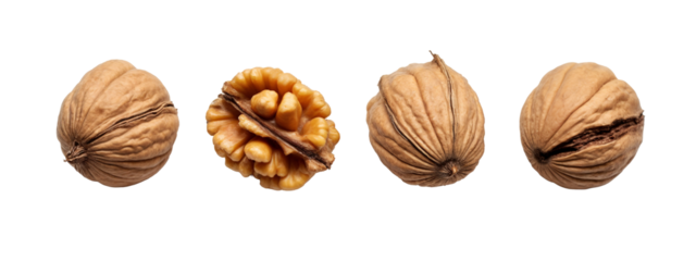 A group of four walnuts