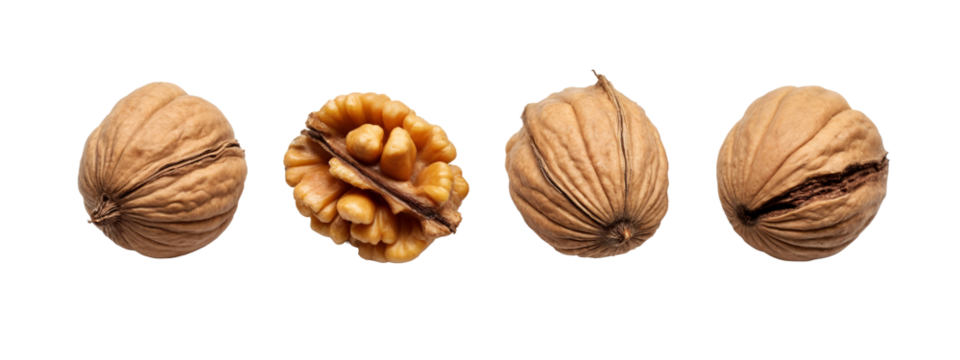 A group of four walnuts