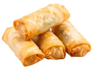 Twin Asian Spring Rolls – Clean Cutout Food Illustration on transparent PNG