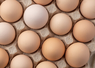 Brown eggs stacked in rows.Group of Fresh white Eggs in a cardboard cassette. Organic food from nature good for health.