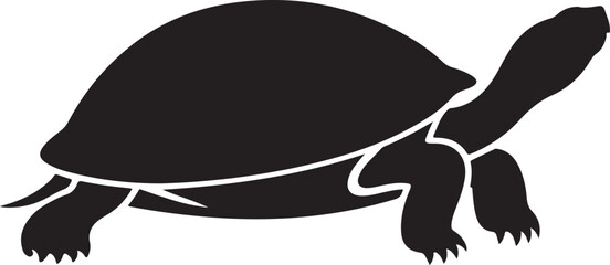 turtle on a white background