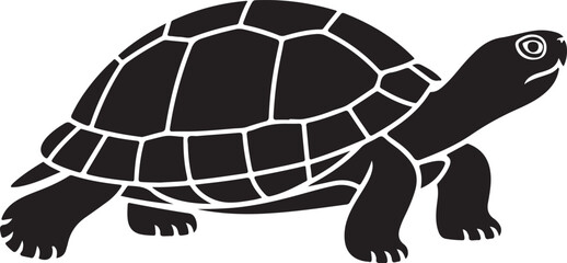 Twelve silhouettes of adorable tortoises and turtles.