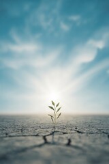 Green Plant Sprouting from Cracked Earth Beneath Rising Sunlight