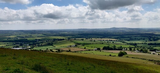 Rolling Hills Landscape