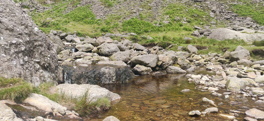Tranquil Stream with Rocks