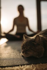 Calm Cat Resting Yoga Mat Next To Meditating Person Morning Light
