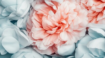 A stunning close-up of soft peony flowers in pastel hues, beautifully arranged to evoke feelings of love, beauty, and tenderness in an artistic floral composition.