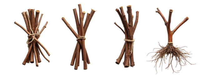 A set of four different types of twigs tied together with a rope.