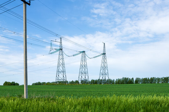 Power lines in a green field in the sunny summer day. Electrical substation.