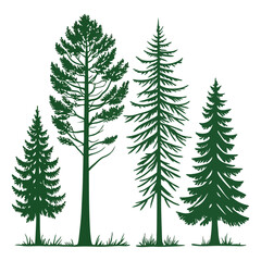 Obraz premium Set of four green pine tree silhouettes