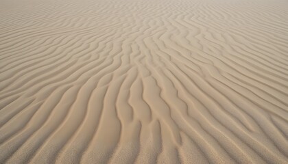 Sand ripple texture from wind