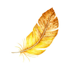 Watercolor illustration of a single yellow-brown feather with soft texture and curved shape. Suitable for boho-themed designs, natural compositions, and seasonal decorations.