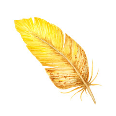 Watercolor illustration of a yellow and brown bird feather with soft texture and natural shape. Ideal for spring, boho, Easter, wildlife or rustic-themed designs and decorative compositions.
