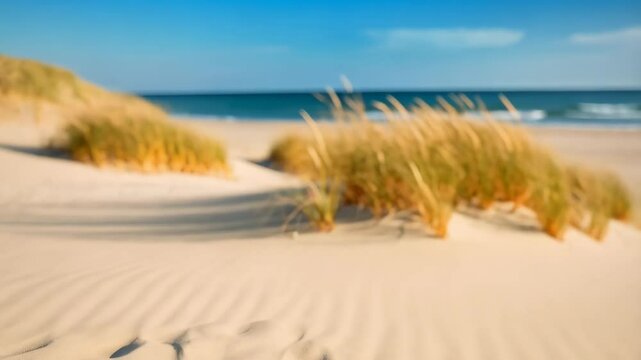 Beach scene with sand dunes and sea oat grasses leading to the blue ocean on a sunny day, creating a serene and calming atmosphere.