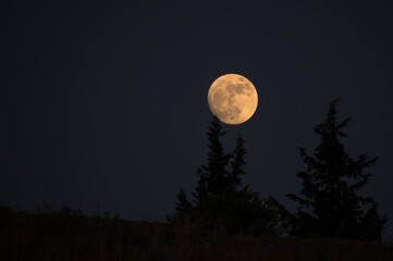 Almost full moon over a dark blue sky.