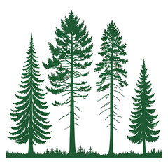 Obraz premium Set of four green pine tree silhouettes on white background