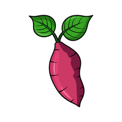 Illustration of a single sweet potato with green leaves sprouting from the top on white background