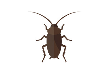 Illustration of a brown cockroach with long antennae on a plain white background in full view