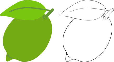 Lime - green citrus, flat cartoon drawing for children's coloring. Outline sketch of the fruit.