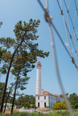 Fao en Vila Real de Santo Antonio Portugal