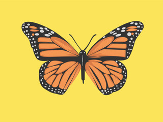 Beautiful flying butterfly vector illustration