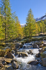 Obraz premium The water flows down from the glaciers into the Langtauferer Valley.