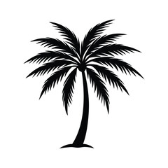 Palm tree on white background vector illustration