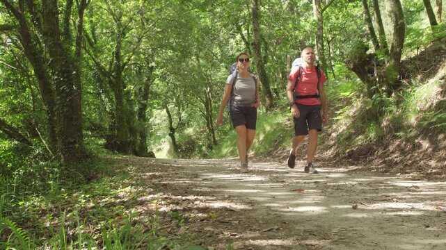 Middle-aged couple with backpacks walking together along path through forest tree tunnel.Camino Portuguese - popular pilgrimage route to Santiago de Compostela. 4K concept of active lifestyle concept.
