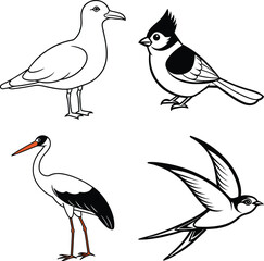 Long-tailed Kingfisher Bird
Kingfisher Indian Three Toed Kingfisher Bird
Coloring Book and Woodland Kingfisher
