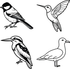 Long-tailed Kingfisher Bird
Kingfisher Indian Three Toed Kingfisher Bird
Coloring Book and Woodland Kingfisher
