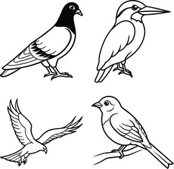 Long-tailed Kingfisher Bird
Kingfisher Indian Three Toed Kingfisher Bird
Coloring Book and Woodland Kingfisher
