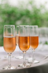 Elegant sparkling rose drinks served in clear flutes at a festive gathering outdoors during a sunny afternoon