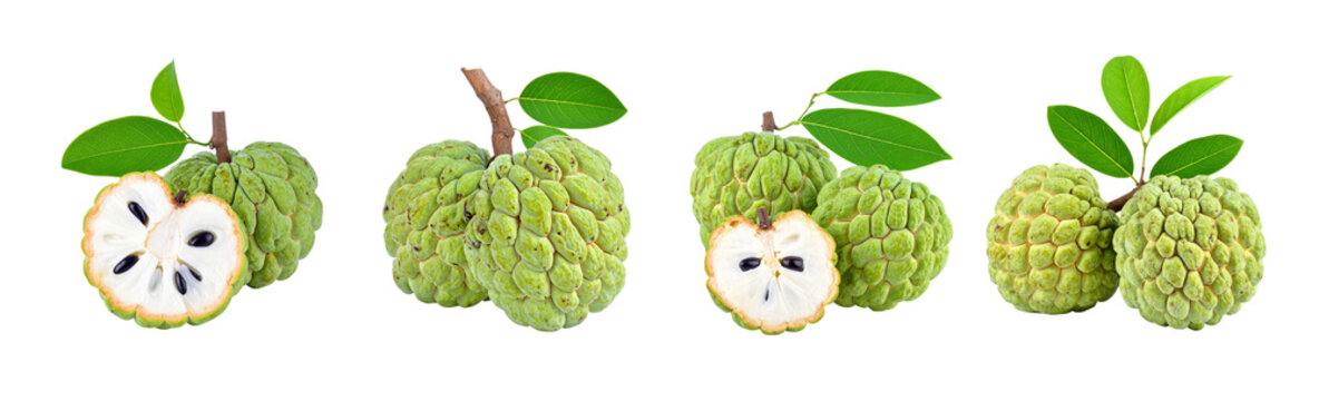 Custard apple ata with leaf, isolated on transparent background