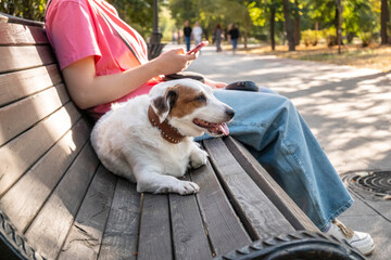Dog sitting contently beside owner on a park bench, owner using phone. The park's serene atmosphere...