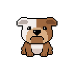 Pixel art cute bulldog vector in retro style