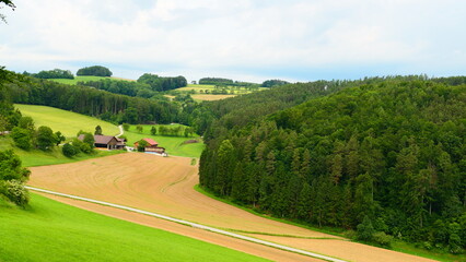 Landwirtschaft, in der Buckligen WEelt, Niederösterreich