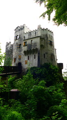 Burgen in der Buckligen Welt, Burg Grimmenstein