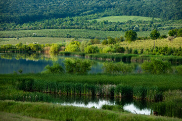 landscape with beautiful and green nature in the Republic of Moldova. Amazing green in the villages of Moldova. Summer the most beautiful season.